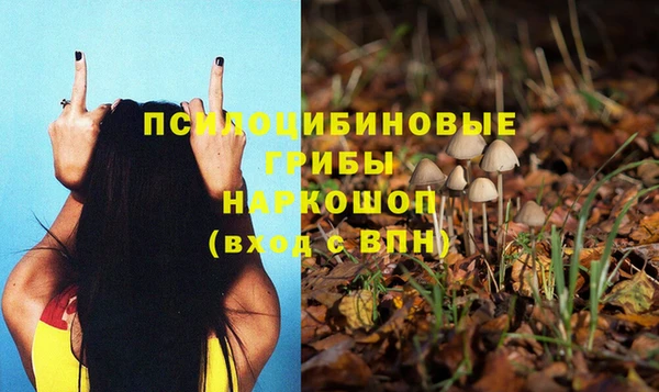 таблы Арсеньев