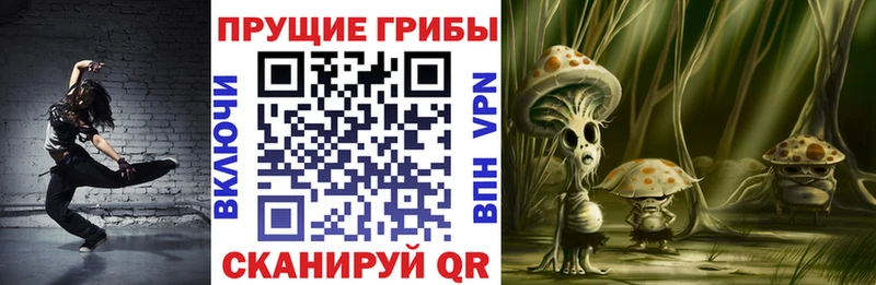 купить наркотик  Таштагол  Псилоцибиновые грибы Psilocybe 